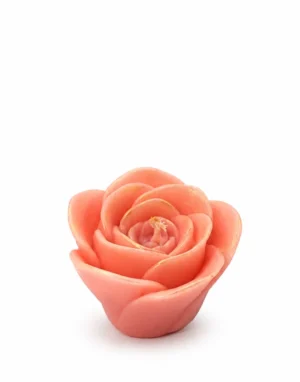Petalo Armonioso Veg Rosa